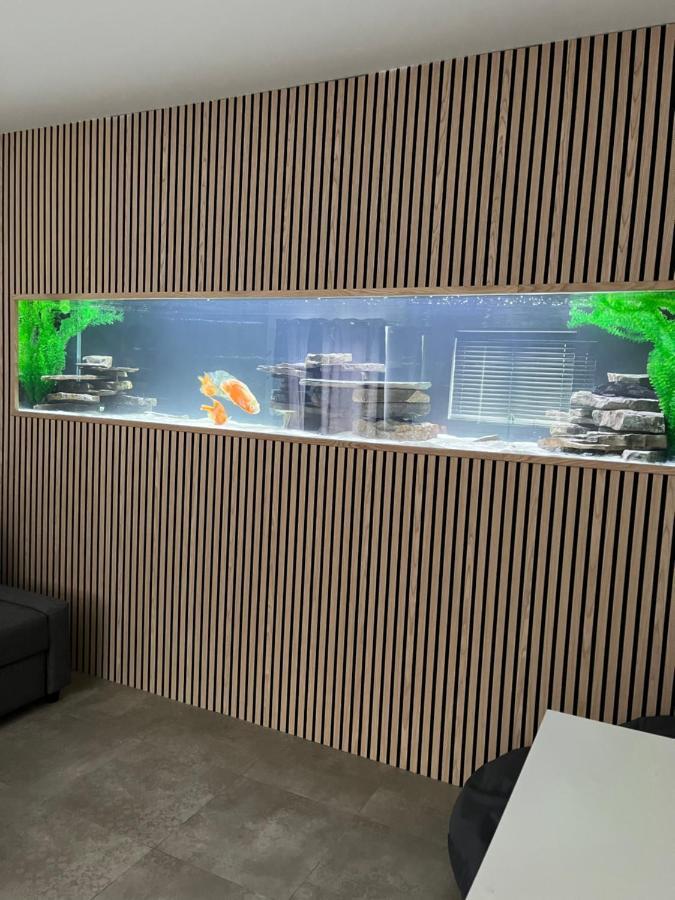 Terfyn Hall Aquarium Apartment 1 Prestatyn Exterior foto